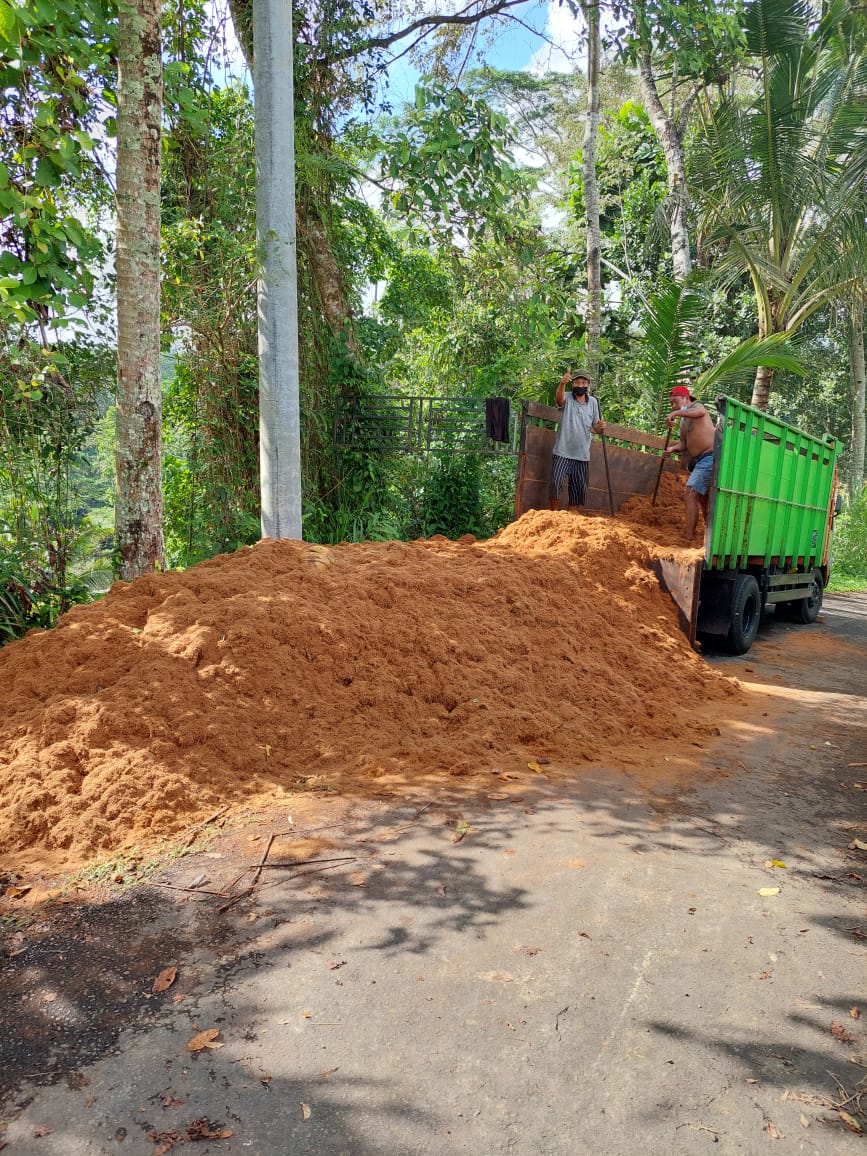 cocopeat