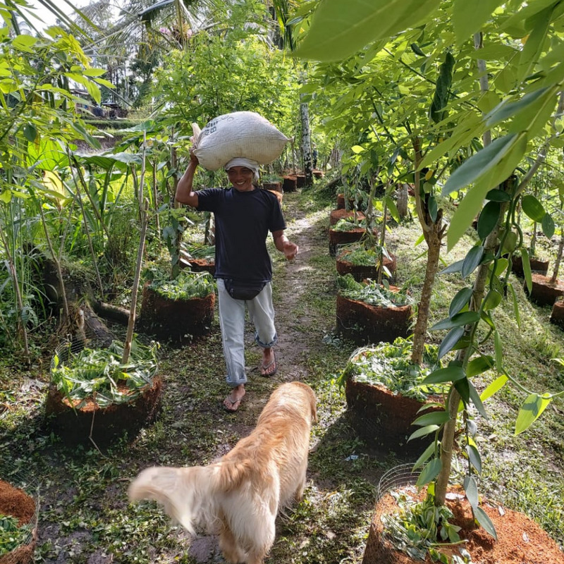 investing in agribusiness