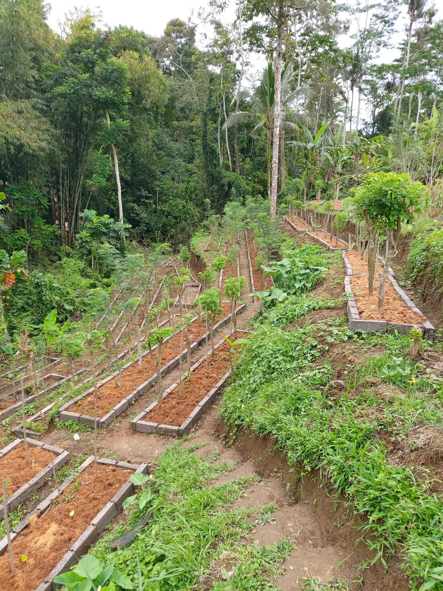 Garden 5c