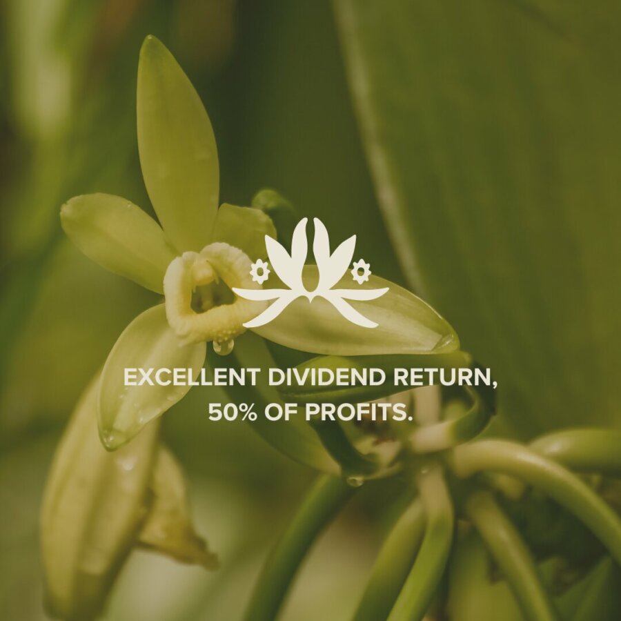 RSGI Individual Shares